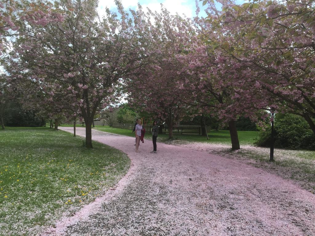 مبيت وإفطار The Westwoods المظهر الخارجي الصورة